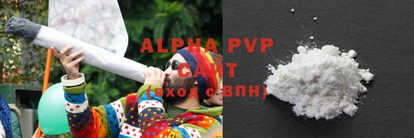 сатива Бронницы