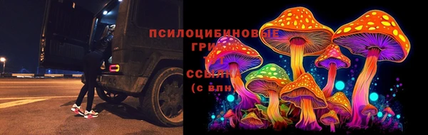 марки lsd Бородино