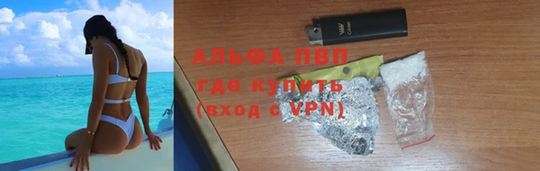 сатива Бронницы