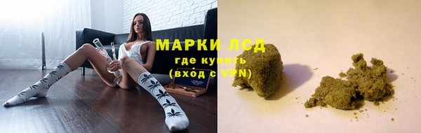 сатива Бронницы