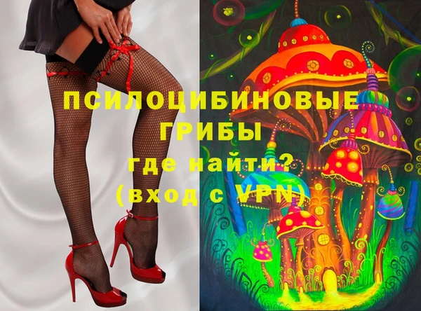 сатива Бронницы