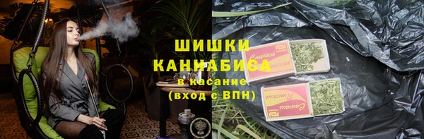 сатива Бронницы