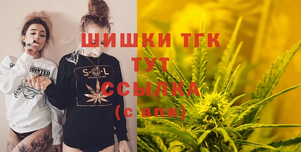 сатива Бронницы
