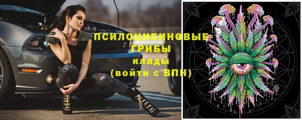 марки lsd Бугульма