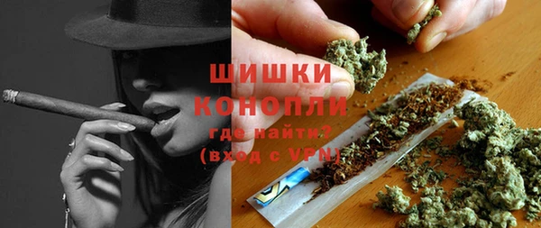 сатива Бронницы