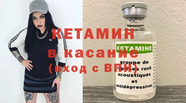 сатива Бронницы