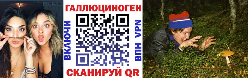 KRAKEN вход  магазин продажи   Нытва  Галлюциногенные грибы Psilocybe 